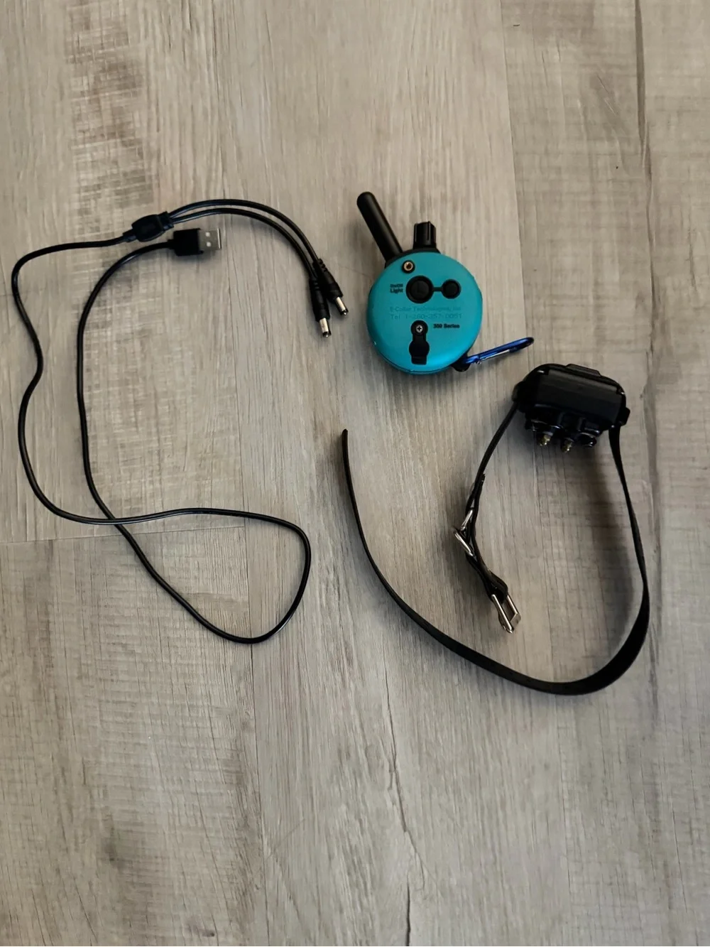 300 Series E Collar dog Receiver - Teal